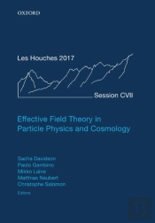 Effective Field Theory In Particle Physics And Cosmology