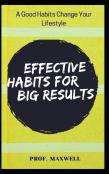 Effective Habits For Big Results