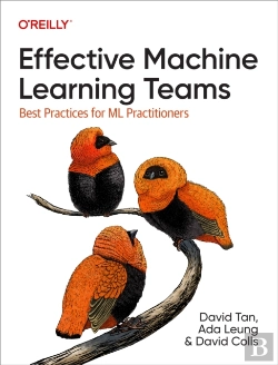 Bertrand.pt - Effective Machine Learning Teams