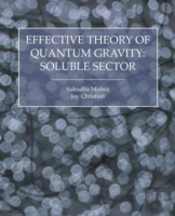 Effective Theory Of Quantum Gravity