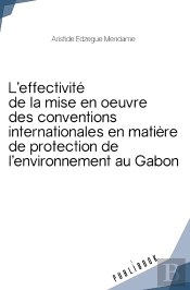 Effectivité De La Mise En Oeuvre Des Conventions Internationales De Protection De L'Environnement : Le Cas Gabonais