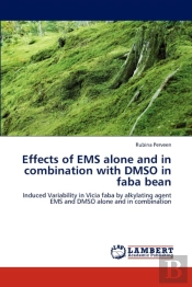 Effects Of Ems Alone And In Combination With Dmso In Faba Bean
