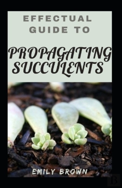 Bertrand.pt - Effectual Guide To Propagating Succulents