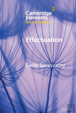 Bertrand.pt - Effectuation