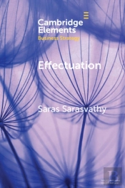 Effectuation
