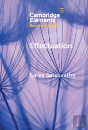 Effectuation