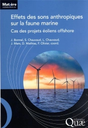 Effets Des Sons Anthropiques Sur La Faune Marine