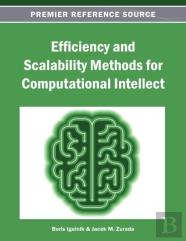 Efficiency And Scalability Methods For Computational Intellect