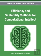 Efficiency And Scalability Methods For Computational Intellect