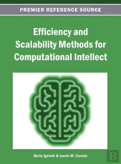 Bertrand.pt - Efficiency And Scalability Methods For Computational Intellect