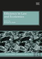 Efficiency In Law And Economics