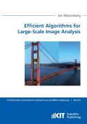 Efficient Algorithms For Large-Scale Image Analysis