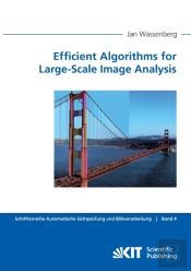 Efficient Algorithms For Large-Scale Image Analysis