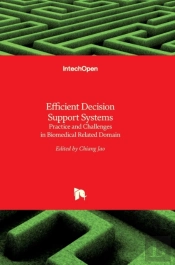 Efficient Decision Support Systems