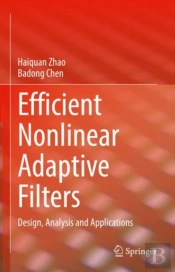 Efficient Nonlinear Adaptive Filters