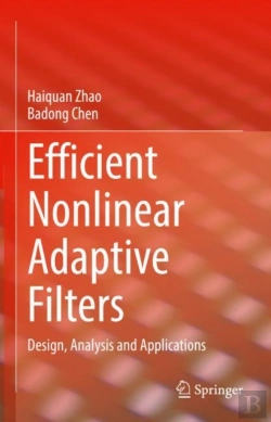 Bertrand.pt - Efficient Nonlinear Adaptive Filters
