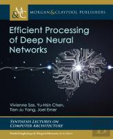 Efficient Processing Of Deep Neural Networks