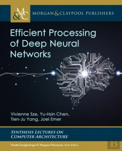 Bertrand.pt - Efficient Processing Of Deep Neural Networks