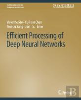 Efficient Processing Of Deep Neural Networks