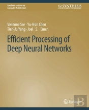 Efficient Processing Of Deep Neural Networks