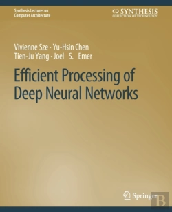 Bertrand.pt - Efficient Processing Of Deep Neural Networks