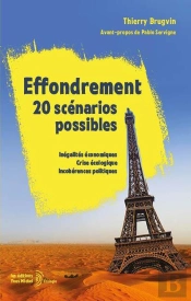 Effondrement : 20 Scénarios Possibles ; Inégalités Économiques, Crise Écologique, Incohérences Politiques