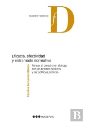 Eficacia, Efectividad Y Entramado Normativo