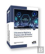 Eficiencia Digital Y Proteccion De Datos.