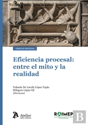 Eficiencia Procesal: Entre El Mito Y La Realidad