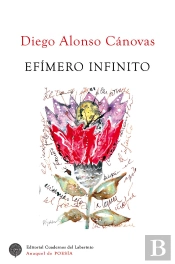 Efimero Infinito
