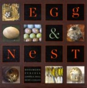 Egg & Nest