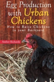 Egg Production With Urban Chickens: How