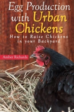Bertrand.pt - Egg Production With Urban Chickens: How