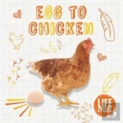 Egg To Chicken