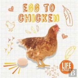 Bertrand.pt - Egg To Chicken