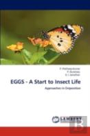 Eggs - A Start To Insect Life