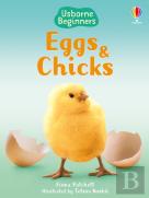 Eggs And Chicks