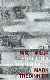 Egret In A Ploughed Field
