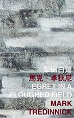 Bertrand.pt - Egret In A Ploughed Field