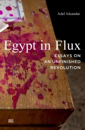 Egypt In Flux