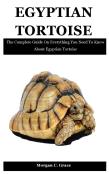 Egyptian Tortoise