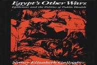 Egypt'S Other Wars