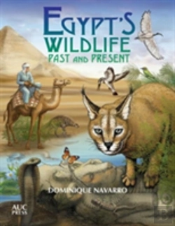 Bertrand.pt - Egypt'S Wildlife