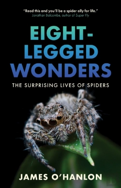 Bertrand.pt - Eight-Legged Wonders