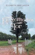 Ein Geoefftnetes Tor