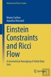 Einstein Constraints And Ricci Flow
