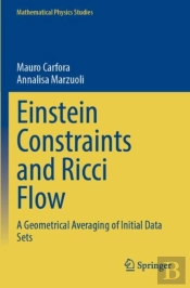 Einstein Constraints And Ricci Flow