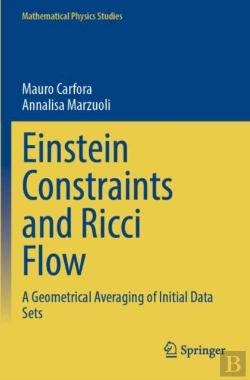 Bertrand.pt - Einstein Constraints And Ricci Flow