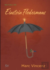 Einstein Fledermaus