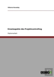 Einzelaspekte Des Projektcontrolling